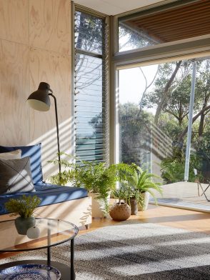 Ferns and Breezway glass louvres bring fresh air into Walkerville Pd House by NRN Architects