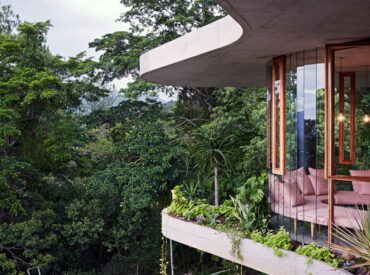 Planchonella House celebrates its tropical rainforest surrounds