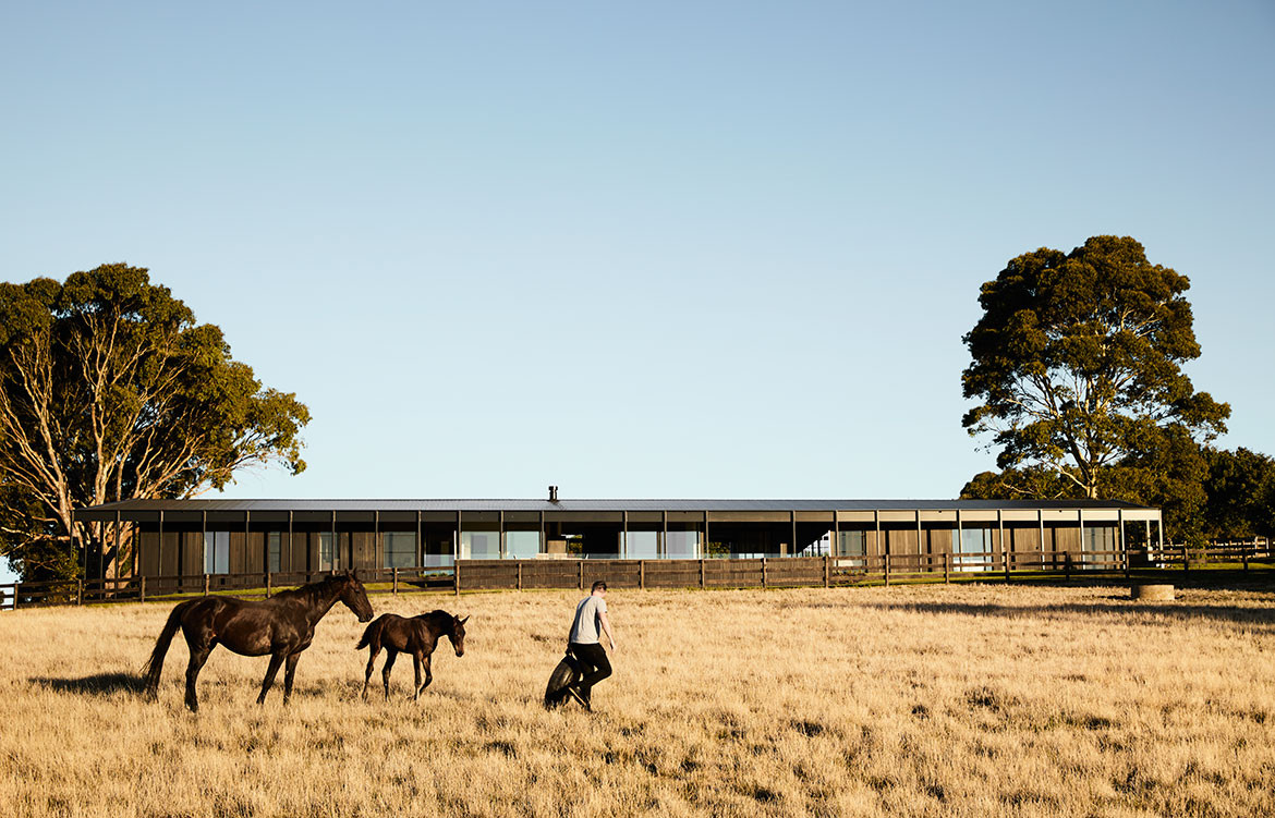 Red Hill Farm House Carr cc Sharyn Cairns houses