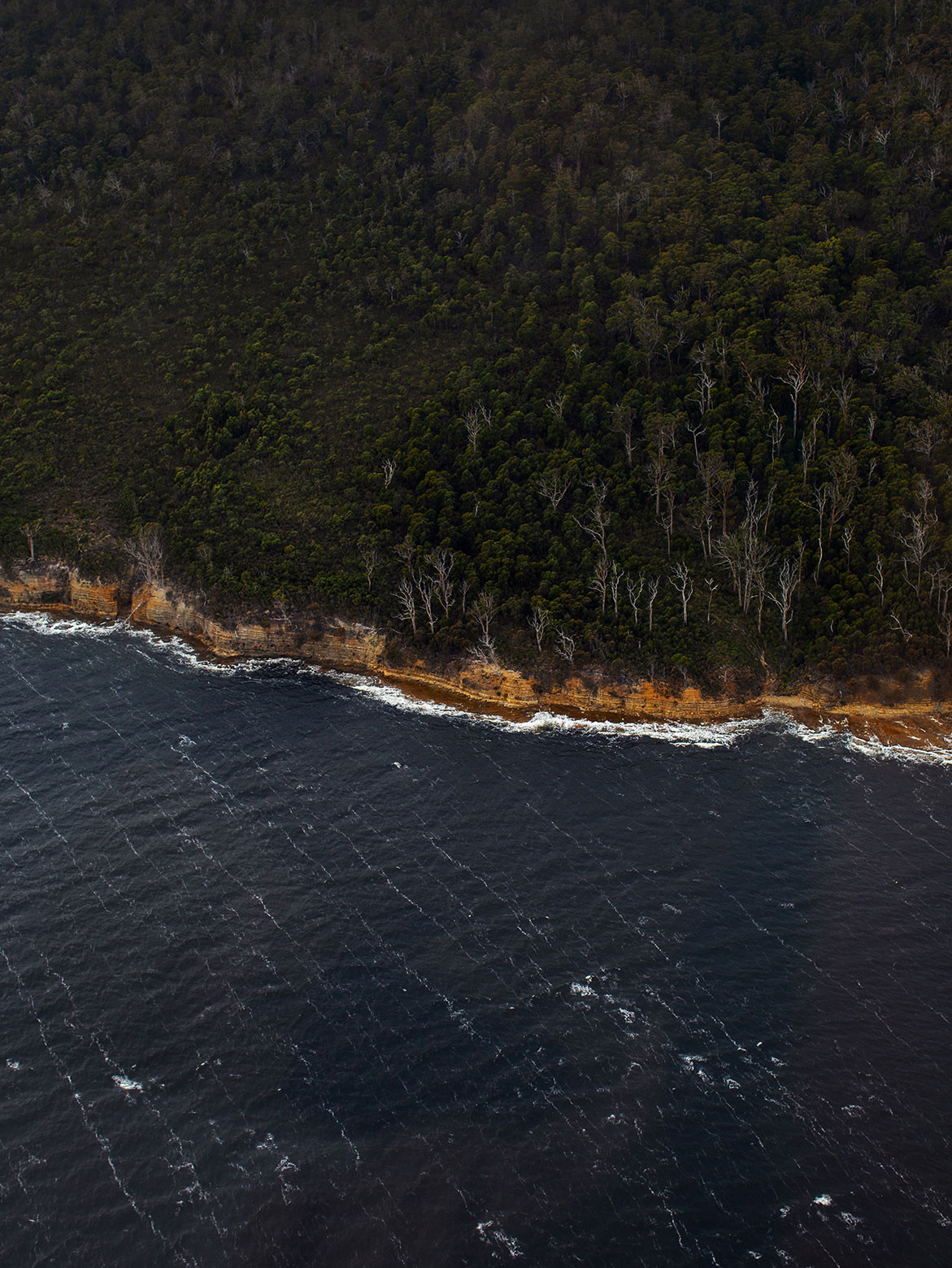 Return To Satellite Island | sealine