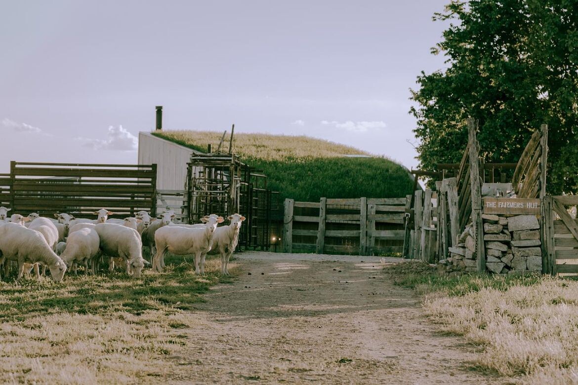 The Farmers Hut: Wilga Station