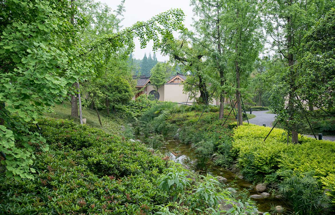 Six Senses Qing Cheng Mountain Dave Tacon garden