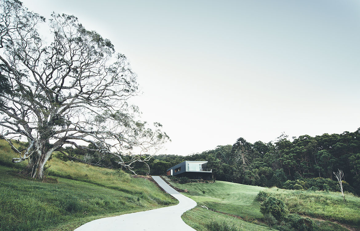 Stealth House Teeland Architects cc Jared Fowler landscape