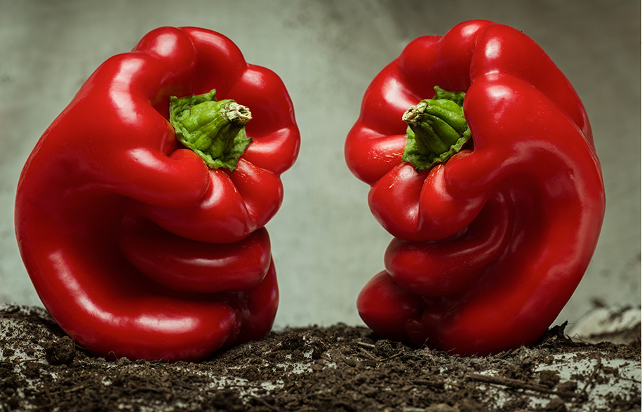The Arcimboldo Defect