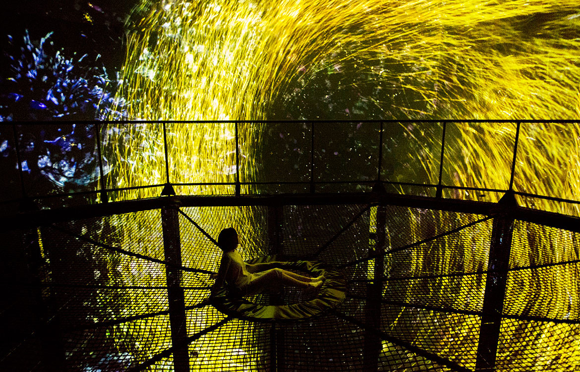 Tokyo Digital Art Museum teamLab Mori Building Co