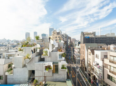A Residence In Tokyo Found Inspiration In The Humble Tree