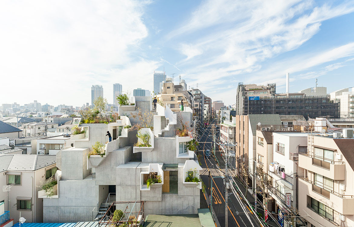 A Residence In Tokyo Found Inspiration In The Humble Tree