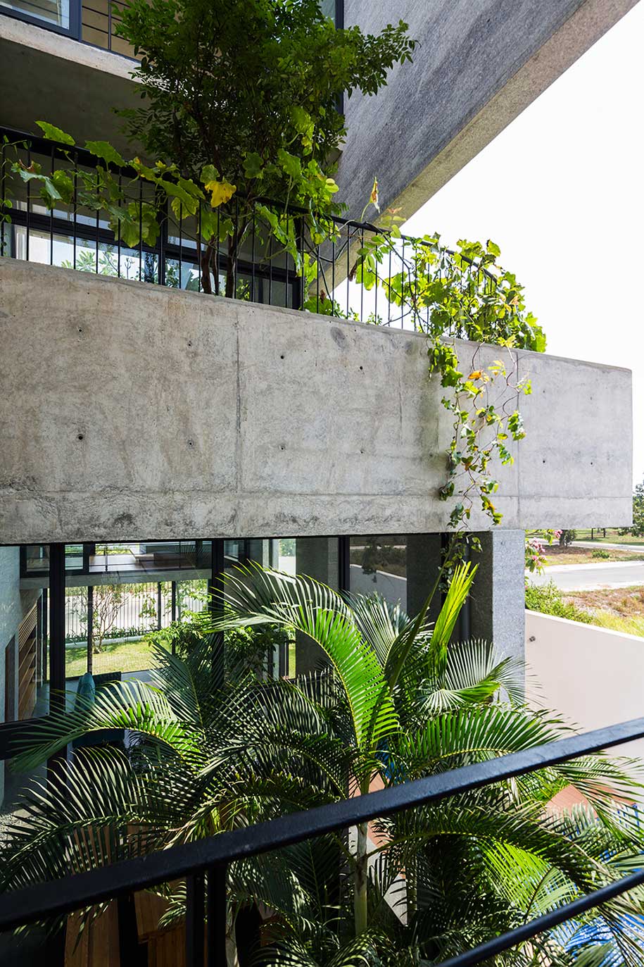 Vo Trong Nghia Binh House Treebox