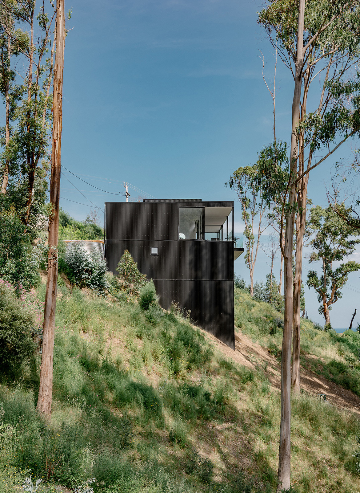 Wyes River Australian Architecture | Habitus Living