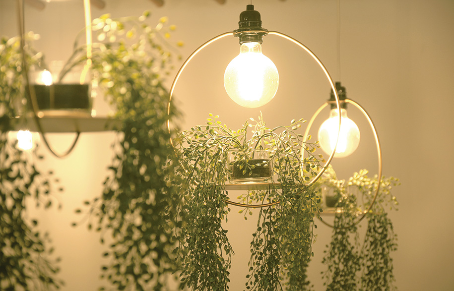 satelight_hanging-garden